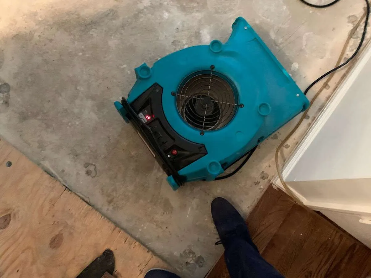 Air mover drying subfloor during Leak Detection & Repair in New Hyde Park
